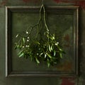 Bunch Of Mistletoe Hanging Against Old Green Wood Background