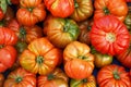 Bunch of mixed red and yellow cherry and italian tomatoes on background. Spring summer detox vegetable diet. Close up of harvest Royalty Free Stock Photo