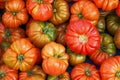 Bunch of mixed red and yellow cherry and italian tomatoes on background. Spring summer detox vegetable diet. Close up of harvest Royalty Free Stock Photo