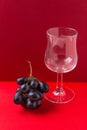 Bunch of moon drops dark purple grapes drinking glass on duotone red crimson burgundy background. Wine production harvest