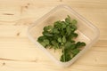 Bunch of moringa leaves in container on wood