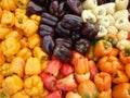 Bunch of Multi-Colored Peppers Royalty Free Stock Photo