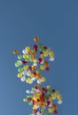 Multi-colors Balloon in the air with blue sky