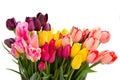 Bunch of multicolored tulips flowers close up Royalty Free Stock Photo