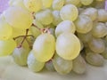 Bunch of muscat grapes. Top view, closeup Royalty Free Stock Photo