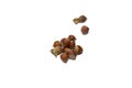 Hazelnuts isolated on a white background Royalty Free Stock Photo