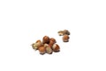 Hazelnuts isolated on a white background Royalty Free Stock Photo