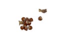 Hazelnuts isolated on a white background Royalty Free Stock Photo