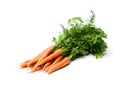 Bunch of new carrots isolated on white Royalty Free Stock Photo