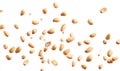 A bunch of nuts are flying through the air Royalty Free Stock Photo
