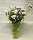 Bunch o white and pink flowers of Dianthus, Carnation in the vase. Royalty Free Stock Photo