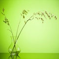 Bunch of oats ear of wheat in vase Royalty Free Stock Photo