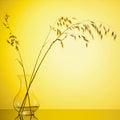 Bunch of oats ear of wheat in vase Royalty Free Stock Photo
