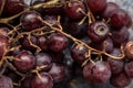 A bunch of old grapes, some going mouldy