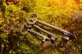 A bunch of old iron keys lying on The forest moss, close-up Royalty Free Stock Photo