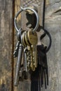 Bunch of old keys hanging on wooden wall Royalty Free Stock Photo