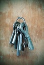 Bunch of old keys. Royalty Free Stock Photo