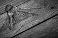 Bunch of old rusty keys on a wooden table. Royalty Free Stock Photo