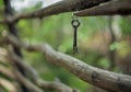 A bunch of old vintage iron door keys hanging on an old rustic fence of crooked poles with a blurred background