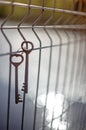 A bunch of old vintage metal door keys hanging on a wire fence with a blurred background and sun highlights on the water Royalty Free Stock Photo