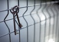 A bunch of old vintage metal door keys hanging on a wire fence with a blurred background and sun highlights on the water Royalty Free Stock Photo