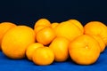 Bunch of orange citruses fruits. Oranges, mandarines and tangerines