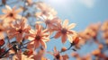 a bunch of orange flowers in front of a blue sky