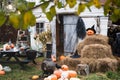 Bunch of orange pumpkins for halloween, big white skull, black raven, wizard hat, jack-o-lantern with scary carved eyes,mouth.Hay,