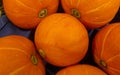 bunch orange pumpkins on store display, high angle view Royalty Free Stock Photo