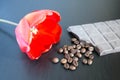 Bunch of orange roses with dark chocolate and coffee beans on old wooden table Royalty Free Stock Photo