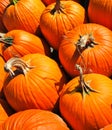 Bunch of orange round pumpkins