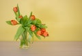 Bunch of orange tulips in glass vase with water on the wooden table, yellow background Royalty Free Stock Photo