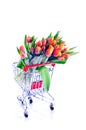 Bunch of Orange-Yellow Tulips in a Shopping-Cart Royalty Free Stock Photo