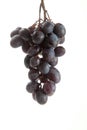 Bunch of organic black grapes isolated on white background Royalty Free Stock Photo