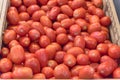 Bunch of organic ripe tomatoes in rustic crate at market stand in Washington, USA Royalty Free Stock Photo