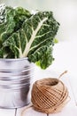 Bunch of organic silverbeet on a metal bucket