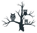 a bunch of owl perch in a tree branch vector illustration design