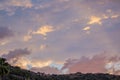 a bunch of palm trees in the foreground under the pink clouds Royalty Free Stock Photo