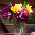 Bunch of Parrot Style Tulips Royalty Free Stock Photo