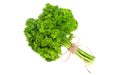 A bunch of parsley bandaged with a rope with a bow Royalty Free Stock Photo