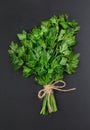 A bunch of parsley bandaged with a rope with a bow Royalty Free Stock Photo