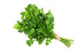 A bunch of parsley bandaged with a rope with a bow Royalty Free Stock Photo