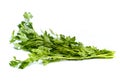 A Bunch of Parsley Royalty Free Stock Photo