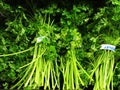 Bunch of parsley