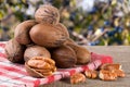 A bunch of pecan nuts on a wooden background Royalty Free Stock Photo