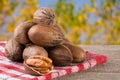 A bunch of pecan nuts on a wooden background Royalty Free Stock Photo