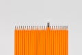 A bunch of pencils on white background, shot from above, aligned at the bottom, closeup