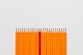 A bunch of pencils on white background, shot from above, aligned at the bottom, closeup