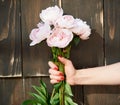 Bunch of peonies in the hand of a woman