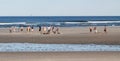 Playing Ball on the Beach in Summer